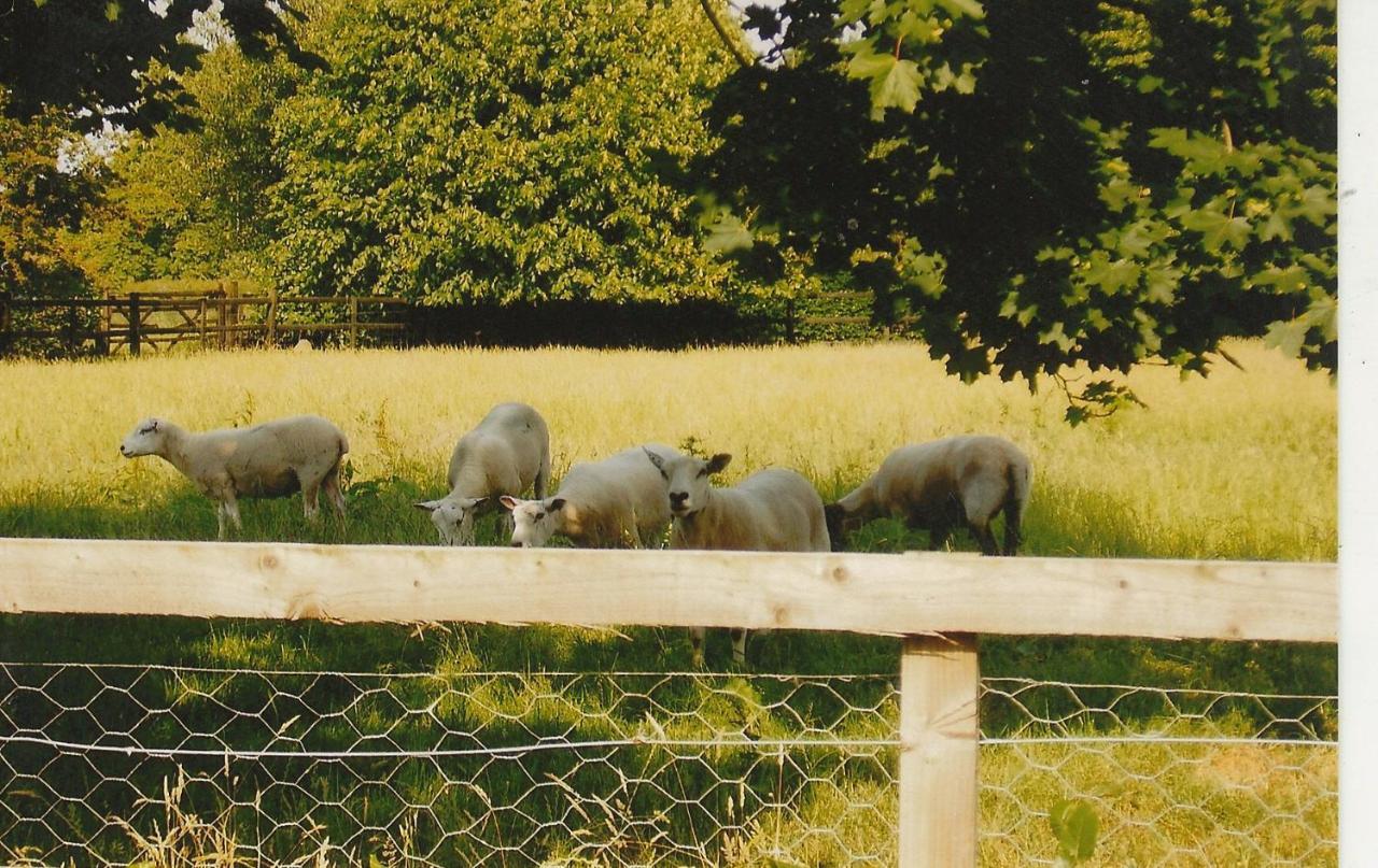 נאנטוויץ' Bank Farm Cottages מראה חיצוני תמונה